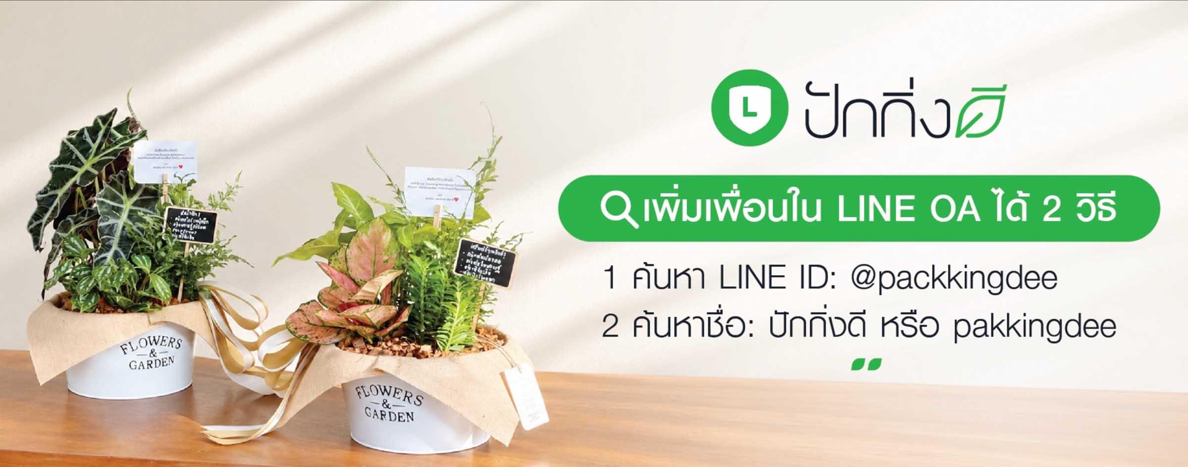 Pakkingdee line