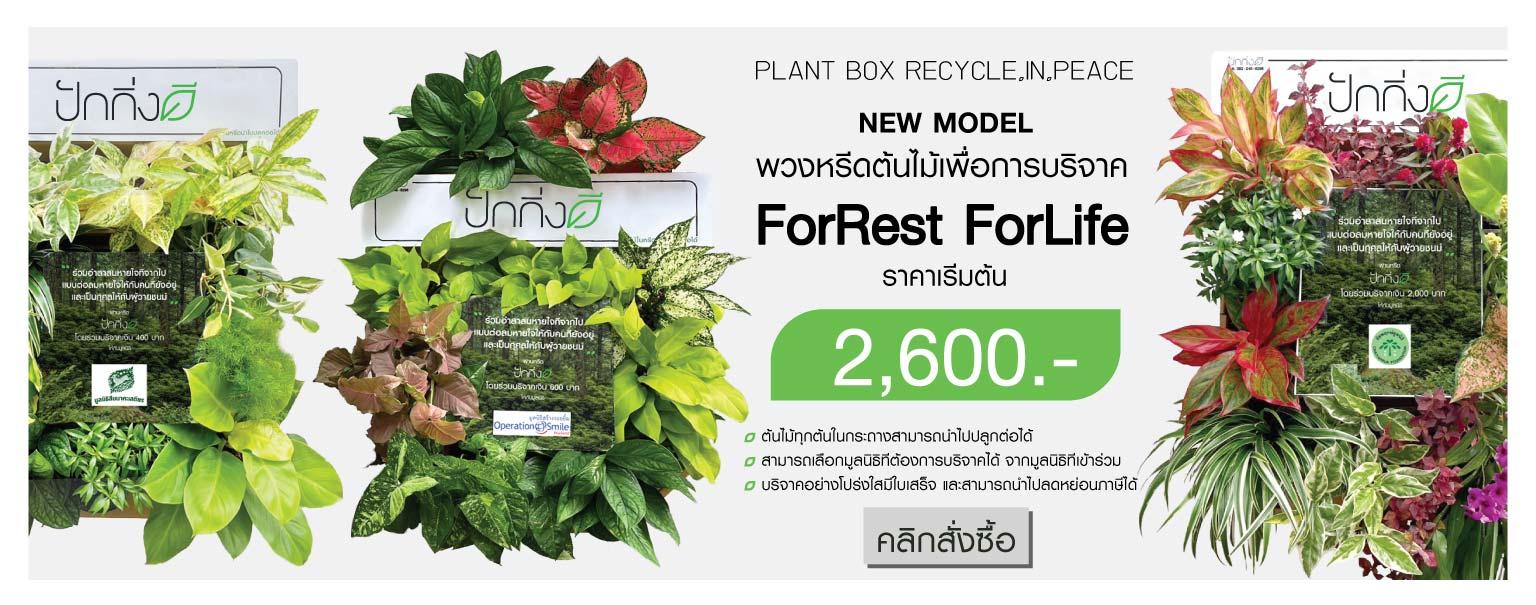 พวงหรีดต้นไม้เพื่อการบริจาค ForRest ForLife