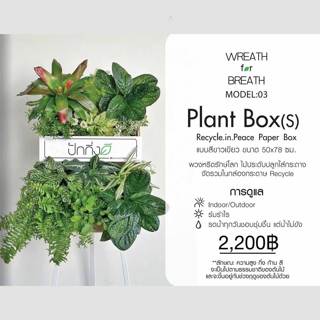 พวงหรีดต้นไม้ : Recycle.in.Peace Paper Box ขาวเขียว