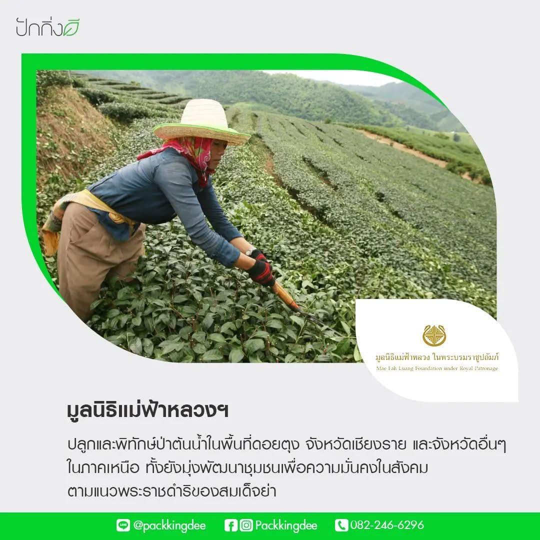 พวงหรีดต้นไม้เพื่อการบริจาค ForRest ForLife : Recycle.in.Peace Paper Box บริจาค 2,000 บาท แบบสีสัน