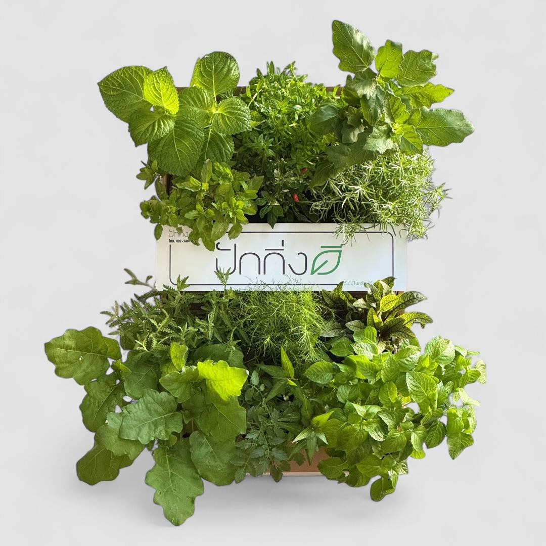 พวงหรีดต้นไม้ : Green Garden Plantbox