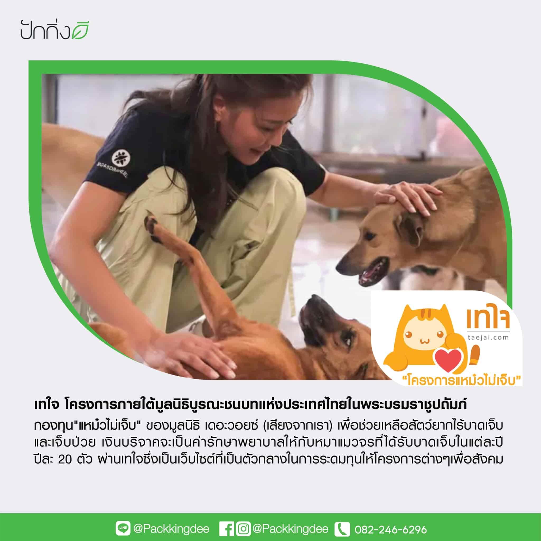 พวงหรีดต้นไม้เพื่อการบริจาค ForRest ForLife : Recycle.in.Peace Paper Box บริจาค 2,000 บาท แบบสีสัน