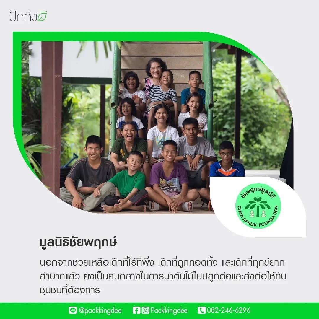 พวงหรีดต้นไม้เพื่อการบริจาค ForRest ForLife : Recycle.in.Peace Paper Box บริจาค 1,000 บาท แบบขาวเขียว