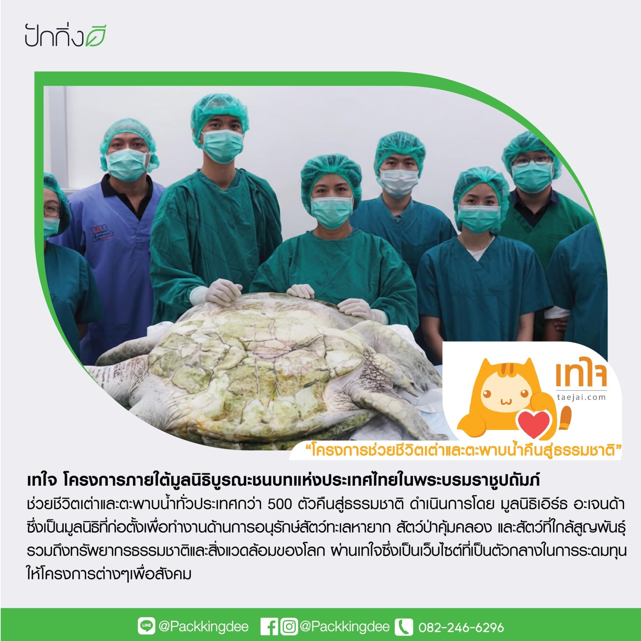 พวงหรีดต้นไม้เพื่อการบริจาค ForRest ForLife : Recycle.in.Peace Paper Box บริจาค 2,000 บาท แบบสีสัน