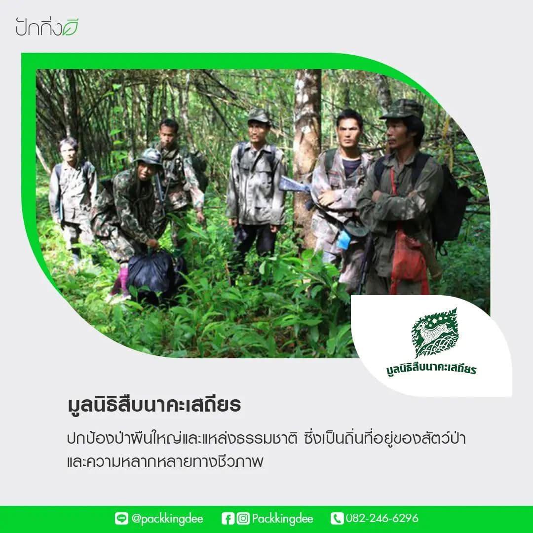 พวงหรีดต้นไม้เพื่อการบริจาค ForRest ForLife : Recycle.in.Peace Paper Box บริจาค 2,000 บาท แบบสีสัน