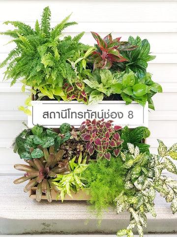 ลูกค้าของเรา