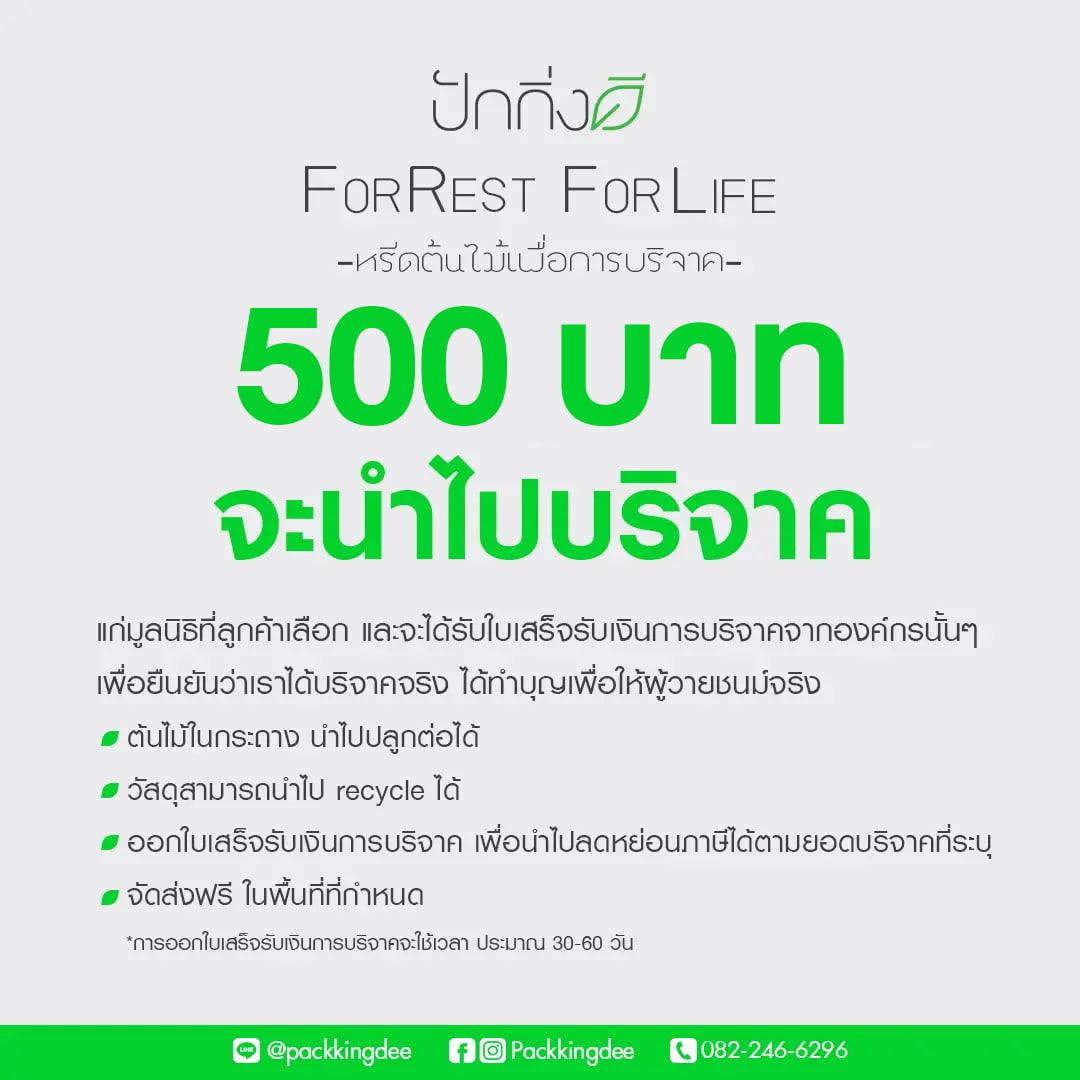 พวงหรีดต้นไม้เพื่อการบริจาค ForRest ForLife : รุ่น Orchid Garden กระดานสีขาว
